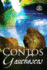 Contos Gauchescos