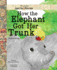 How the Elephant Got Her Trunk (Just So Much Fun Stories)
