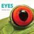 Eyes (Whose is It? )