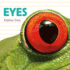 Eyes (Whose is It? )
