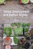 Global Development and Human Rights-the Sustainable Development Goals and Beyond