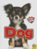 Dog (Caring for My Pet)