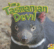 I Am a Tasmanian Devil (I Am (Av2 Weigl))