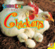 Chickens (Science Kids: Life Cycles)