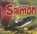 Salmon (Science Kids: Life Cycles)