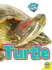 Turtle (Caring for My Pet)