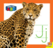 Jj (Easy as Abc)