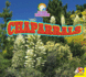 Chaparrals (Exploring Ecosystems)