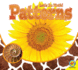 Patterns (Let's Do Math! )