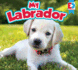 My Labrador (Eyediscover, 4)