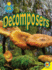 Decomposers (Food Chains)