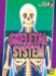 Skeletal System (Body Systems)