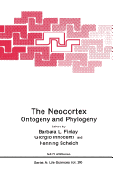 The Neocortex