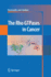 The Rho Gtpases in Cancer