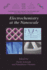 Electrochemistry at the Nanoscale