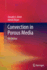 Convection in Porous Media