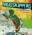 Mudskippers and Other Extreme Fish Adaptations