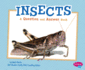 Insects: a Question and Answer Book (Pebble Plus: Animal Kingdom Questions and Answers)