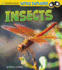 Insects