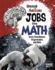 Unusual and Awesome Jobs Using Math: Stunt Coordinator, Cryptologist, and More (You Get Paid for That? )