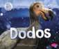 Dodos (Ice Age Animals)