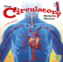 Your Circulatory System Works! (Your Body Systems)