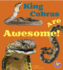 King Cobras Are Awesome! (Awesome Asian Animals)