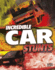 Incredible Car Stunts (Wild Stunts)