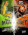 Praying Mantis Vs. Giant Hornet: Battle of the Powerful Predators (Bug Wars)
