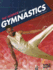The Science Behind Gymnastics (Science of the Summer Olympics)