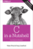 C in a Nutshell: the Definitive Reference