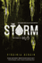 The Storm (H2o, 2)
