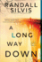 A Long Way Down: a Literary Thriller
