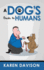 A Dogs Guide to Humans