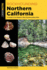 Rockhounding Northern California Format: Paperback