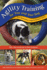 Agility Training for You & Your Dog 2ed Format: Paperback