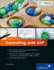 Controlling With Sap-Practical Guide Janet Salmon