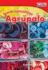 Usa Las Matematicas: Agrapalo (Use Math: Group It) (Spanish Version)