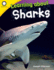 Learning About Sharks