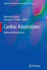 Cardiac Adaptations: Molecular Mechanisms