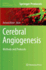 Cerebral Angiogenesis