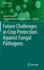 Future Challenges in Crop Protection Against Fungal Pathogens