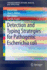 Detection and Typing Strategies for Pathogenic Escherichia Coli