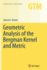 Geometric Analysis of the Bergman Kernel and Metri
