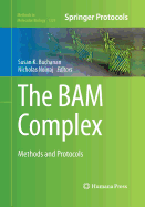 The Bam Complex
