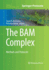 The Bam Complex