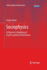 Sociophysics