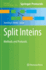 Split Inteins