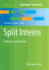 Split Inteins