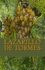 Lazarillo De Tormes